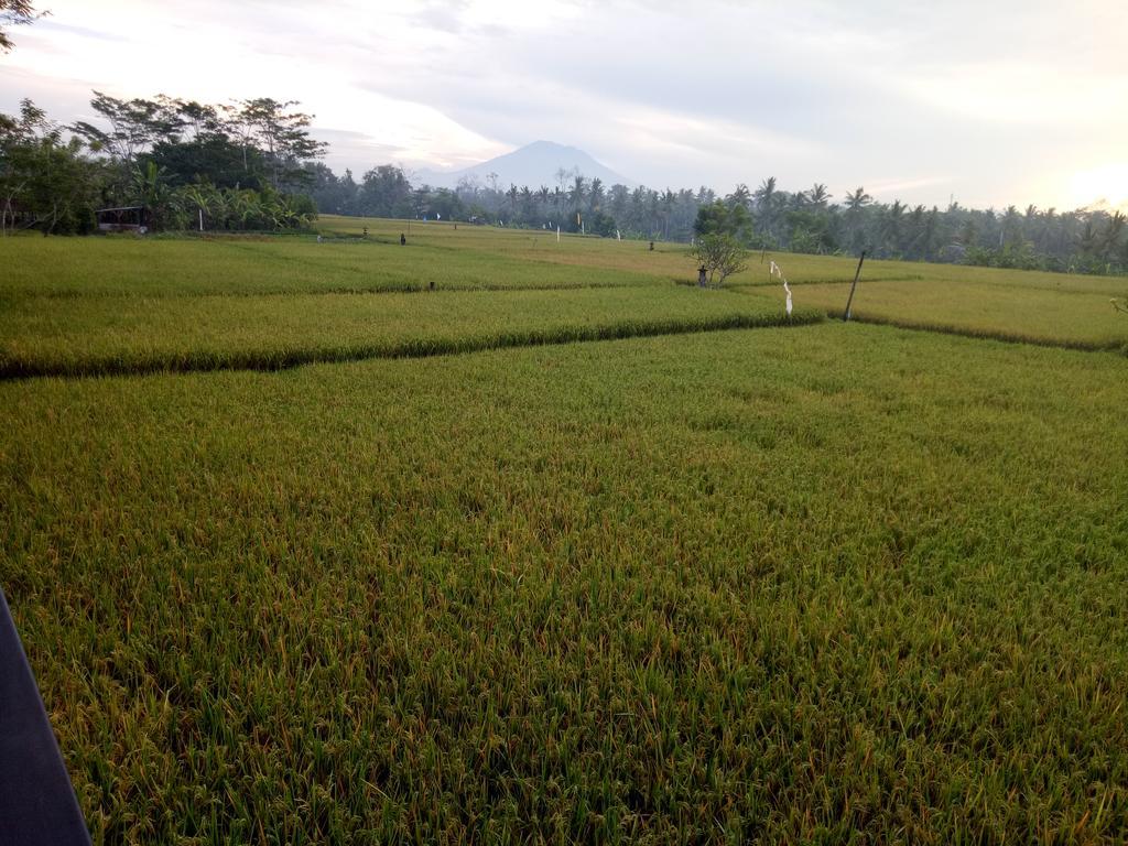Putra Guest House Ubud Exterior foto